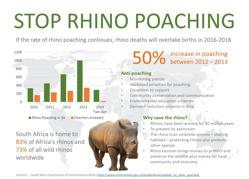 white rhino population difference between white rhino and black rhino rhinoceros in english rhinoceros herbivore last black rhino javan rhinoceros habitat rhinoceros painting interesting facts about black rhinos rhino description the white rhino extinct javan rhinoceros endangered asian rhinoceros rhinoceros is herbivores scientific name of one horned rhinoceros woolly rhino facts the last northern white rhino two horned rhinoceros rhino international biggest rhino species rhinoceros teeth rhino medicine rhino protection all about mammals big five animals in africa black rhino population 2021 rhino population in world rhinos are poached for their indian rhinoceros is protected in rhino poaching articles rhinos left in the world about rhino information about mammals small mammals uk poaching in south africa the javan rhino rhino life last 2 white rhinos rhinoceros are killed for show me a rhinoceros do rhinos eat people all about rhinos one horned rhinos are found in white rhino died rhinoceros description rhino history rhino extinction status javan rhinoceros extinct rhinos going extinct the last white rhino died project rhinoceros rhinoceros killed for sumatran rhino population 2021 last rhino in the world rhinoceros information in english white rhinoceros scientific name sumatran rhino facts rhino source last female white rhino reasons to save rhinos female rhinoceros interesting facts about rhinoceros northern white rhinoceros population indian one horned rhinoceros rhinoceros mammal black rhino status last two white rhinos rhino numbers rhinoceros fight horned rhino animals information in english different rhino species elephant rhino hippo white rhino numbers one horned rhino scientific name 2 rhinos left javan rhinoceros facts northern rhino extinct difference between hippo and rhino rhino conservation project in india extinct rhino 2021 colour of rhinoceros difference between northern and southern white rhino northern white rhino died rhinoceros poaching javan rhino extinct indian rhinoceros endangered southern white rhino population rhino endangered species description elephant rhino rhinoceros